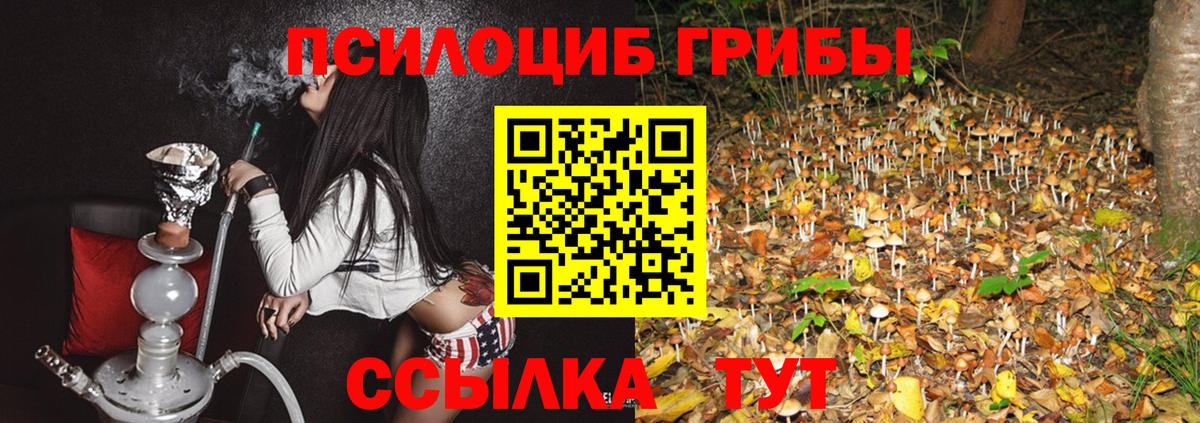 Галлюциногенные грибы Cubensis Алатырь