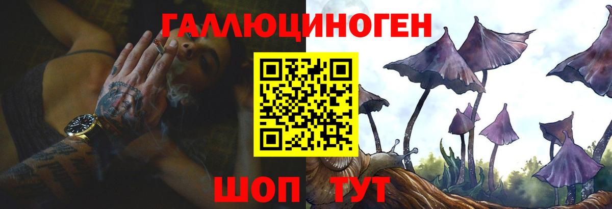 Псилоцибиновые грибы Psilocybine cubensis  Псилоцибиновые грибы мухоморы  Вход с VPN  Алатырь 